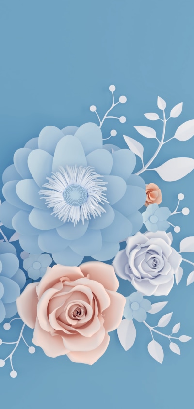 Artistic Flower, Rose, 1440x3040