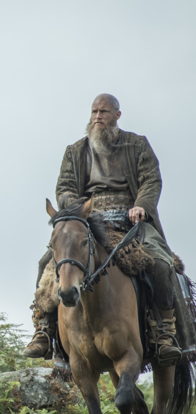 TV Show Vikings, 1440x3040