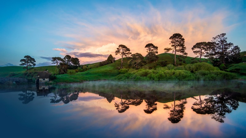 New Zealand, river, trees, 4K