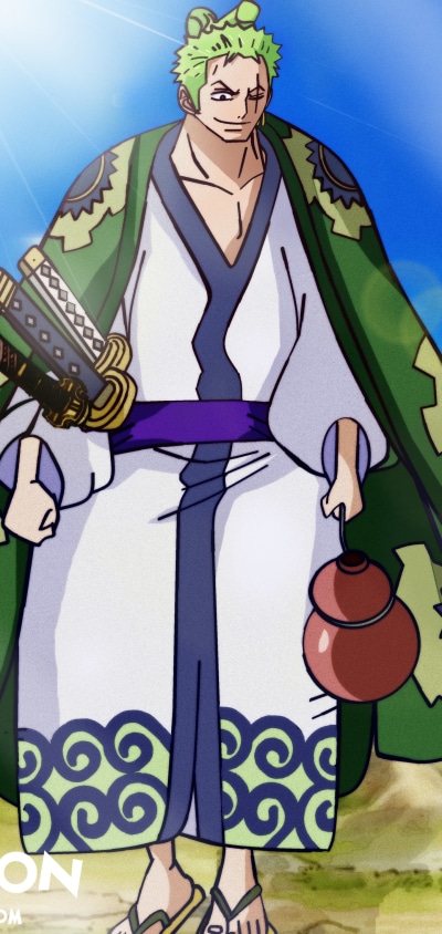 Anime One Piece, Roronoa Zoro, 1440x3040