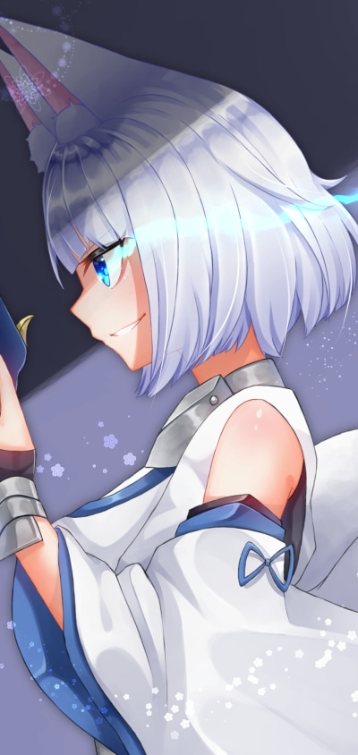Anime Azur Lane, Kaga (Azur Lane), 1440x3040