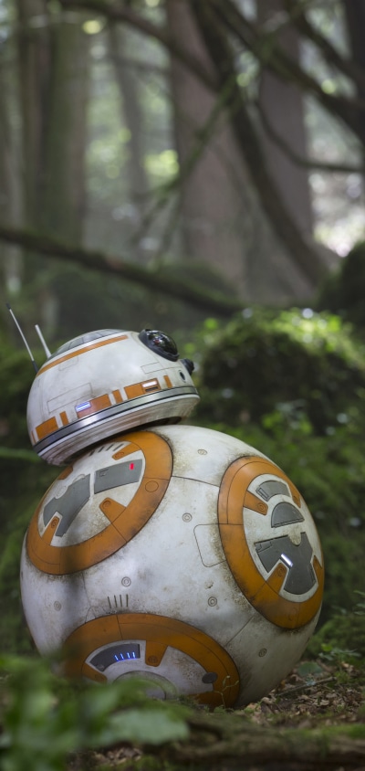 Movie Star Wars Episode VII: The Force Awakens, BB-8, Star Wars, Rey (Star Wars), 1440x3040