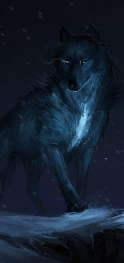 Fantasy Wolf, Night, 1440x3040
