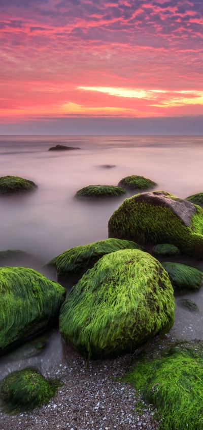 Earth Ocean, Nature, Sunset, Moss, Cloud, Horizon, 1440x3040