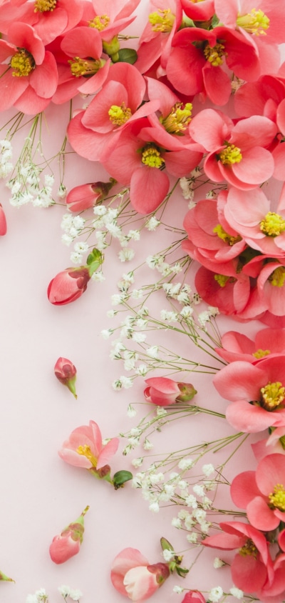 Man Made Flower, Still Life, Pink Flower, 1440x3040