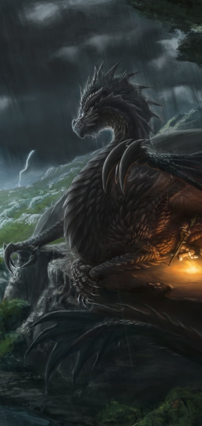 Fantasy Dragon, 1440x3040