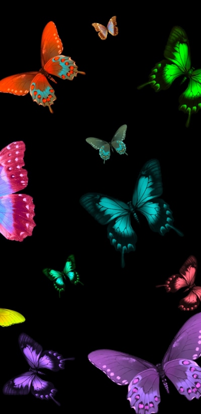Artistic Butterfly, Colorful, 1440x2960