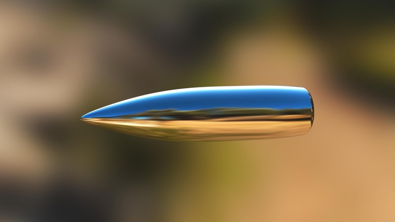 Bullet