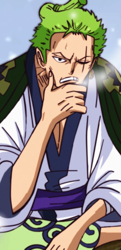 Anime One Piece, Roronoa Zoro, 1440x2960