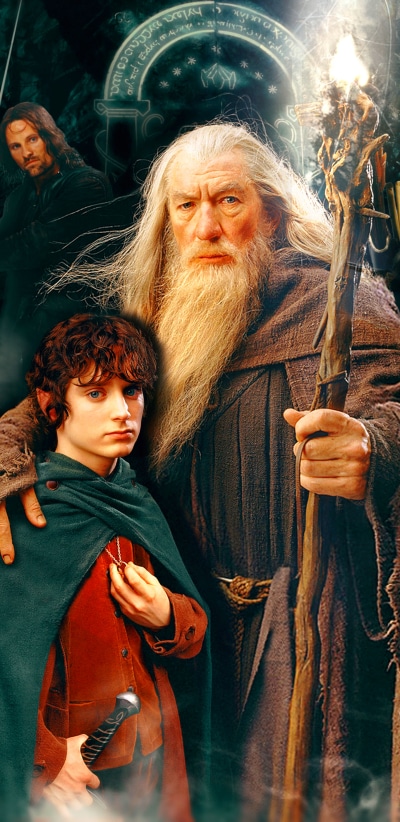 Movie The Lord Of The Rings, Frodo Baggins, Gandalf, Lord Of The Rings, Aragorn, 1440x2960