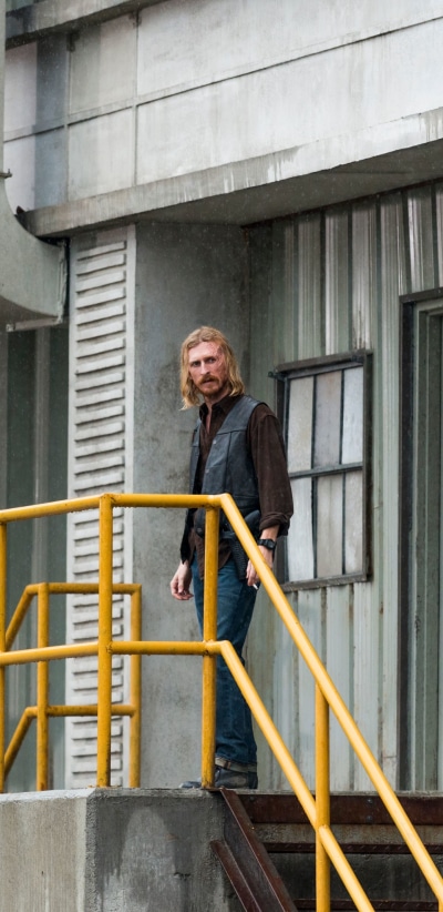 TV Show The Walking Dead, Dwight (The Walking Dead), Austin Amelio, 1440x2960