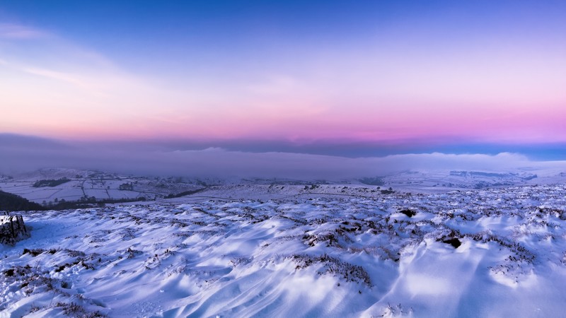 field, snow, winter, 4k