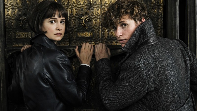 Fantastic Beasts: The Crimes of Grindelwald, Eddie Redmayne, Katherine Waterston, 4K