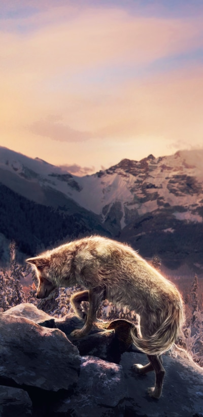 Fantasy Wolf, Nature, Winter, Landscape, Mountain, 1440x2960