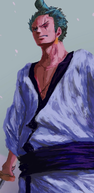 Anime One Piece, Roronoa Zoro, 1440x2960