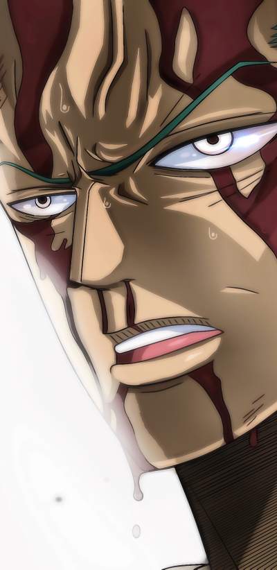 Anime One Piece, Roronoa Zoro, 1440x2960