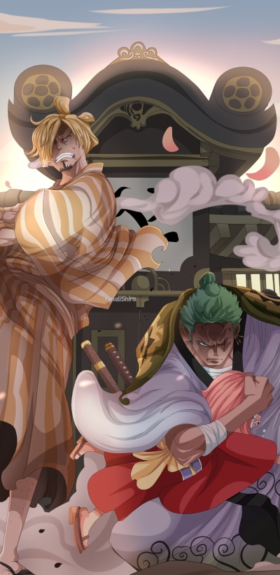 Anime One Piece, Toko (One Piece), Sanji (One Piece), Roronoa Zoro, 1440x2960