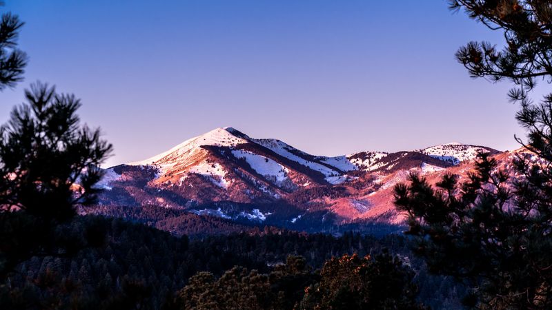 mountains, branch, needles, forest, 4k