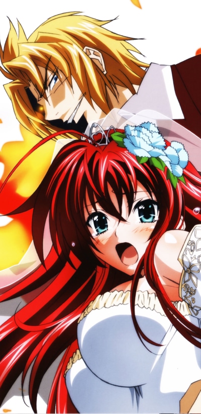 Anime High School DxD, Rias Gremory, Riser Phenex, 1440x2960