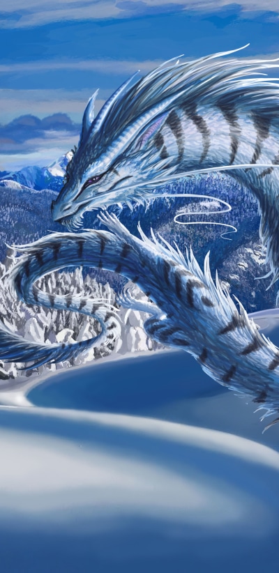 Fantasy Dragon, Winter, Snow, 1440x2960