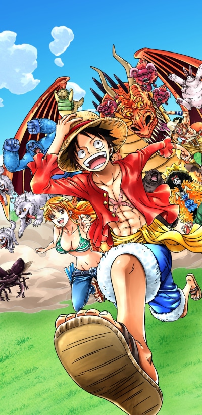 Anime One Piece, Monkey D. Luffy, 1440x2960