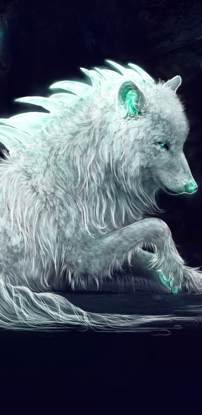 Fantasy Wolf, 1440x2960