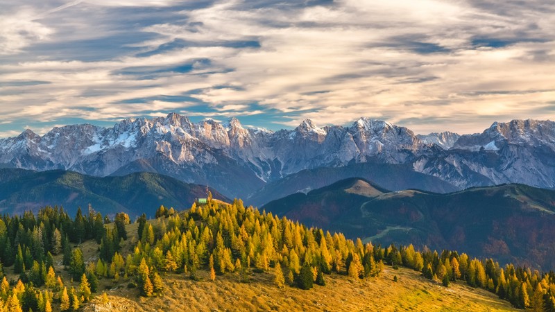 Alps, Switzerland, mountains, trees, 4k