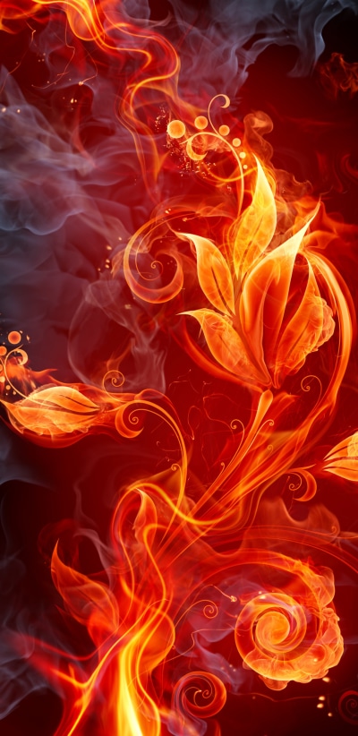 Artistic Flower, 1440x2960