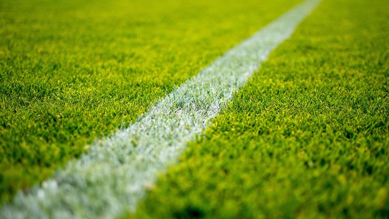 field, grass, stadium, marking, 4k
