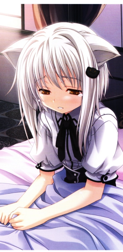 Anime High School DxD, Koneko Toujou, 1440x2960