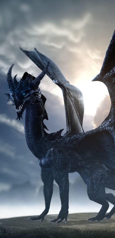 Fantasy Dragon, 1440x2960