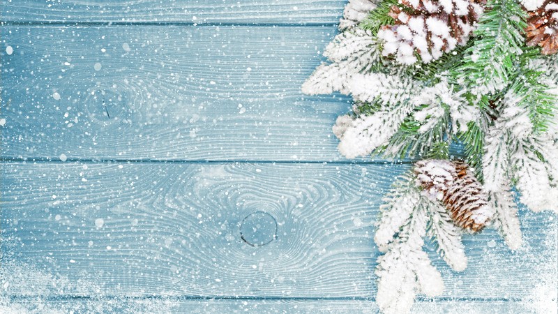 Christmas, New Year, fir-tree, snow, 4K