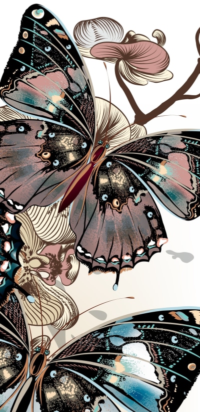 Animal Butterfly, 1440x2960