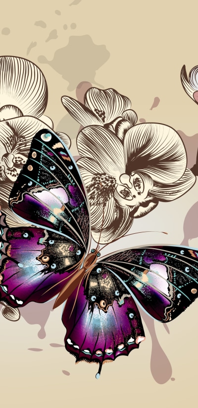 Animal Butterfly, Flower, Vector, Wings, 1440x2960