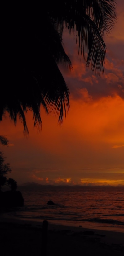 Earth Sunset, 1440x2960