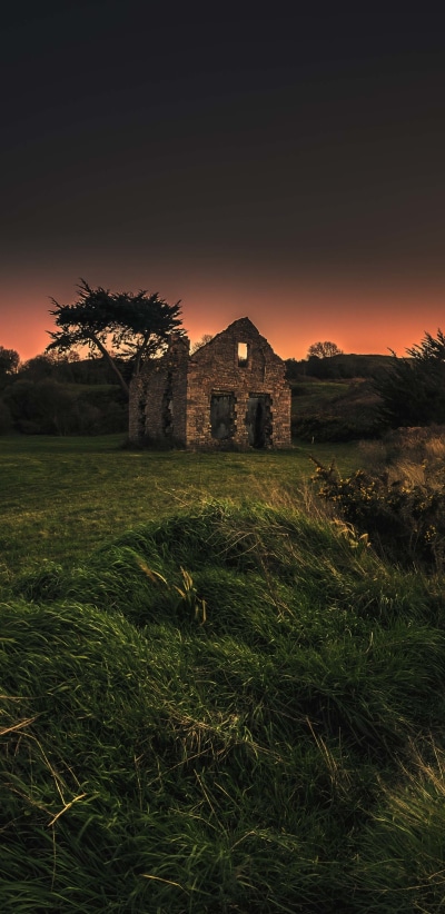 Photography Sunset, Sun, Tree, Ruin, Earth, 1440x2960