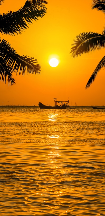 Photography Sunset, 1440x2960