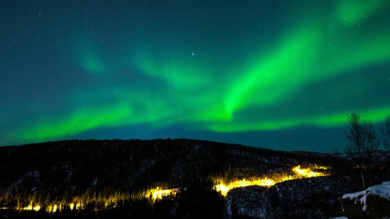 northern lights, sky, winter, mountains, forest, 4K