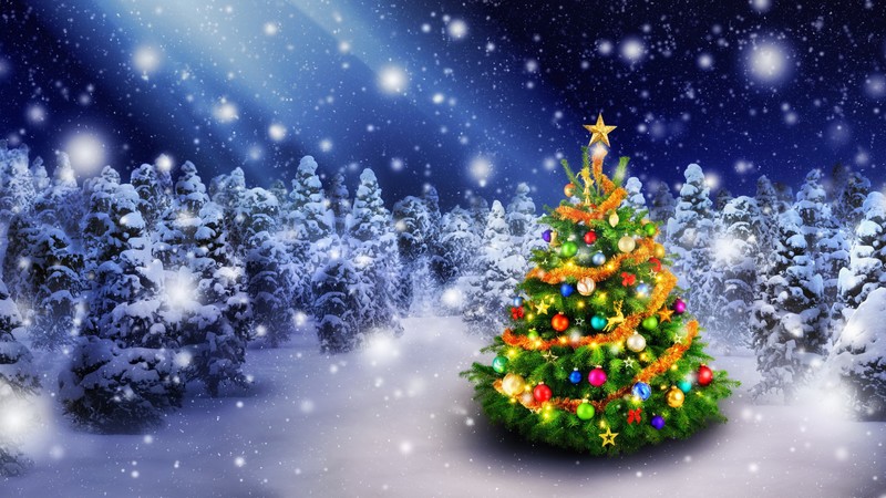 Christmas, New Year, snow, fir-tree, 4K