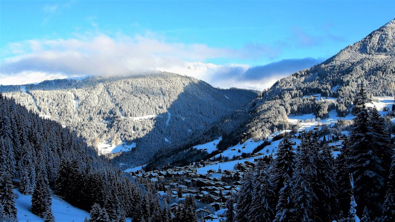mountains, snow, winter, forest, 4k