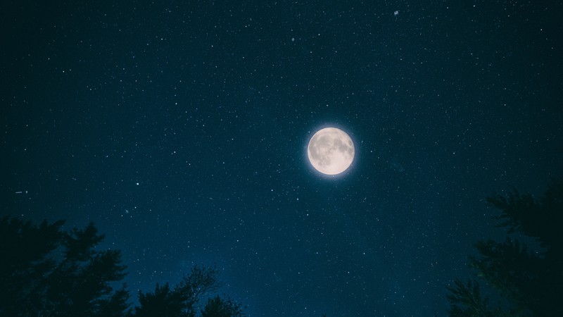 night, sky, moon, stars, forest, 4k