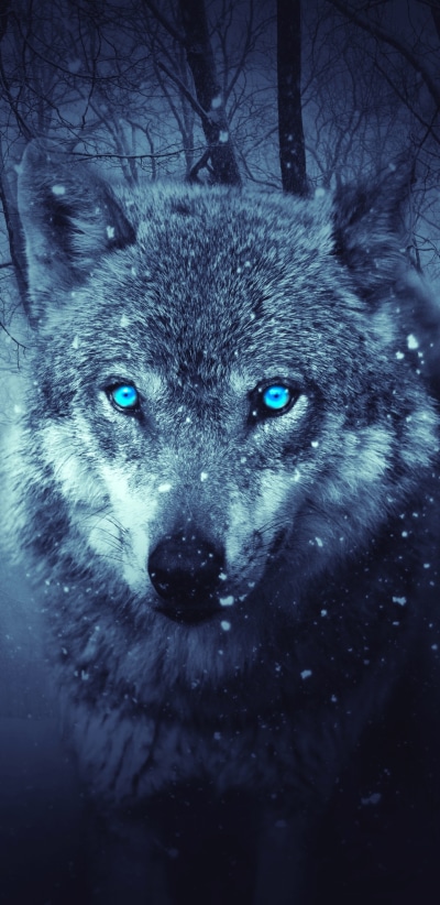 Fantasy Wolf, Forest, Snowfall, Blue Eyes, 1440x2960