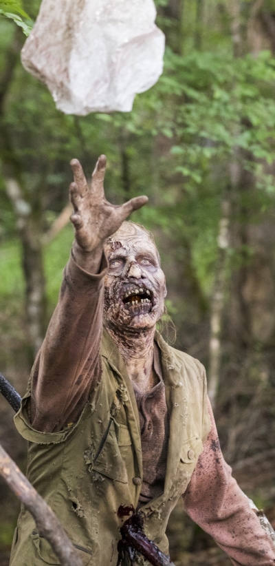 TV Show The Walking Dead, Creepy, Zombie, Horror, 1440x2960