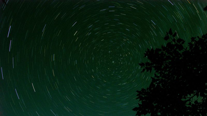 stars, starry sky, branch, circle, 4k
