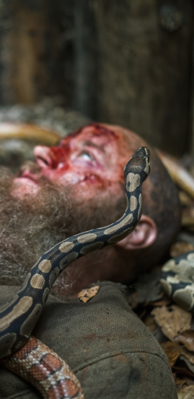 TV Show Vikings, Snake, 1440x2960