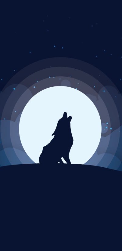 Animal Wolf, Moon, Howling, Night, 1440x2960