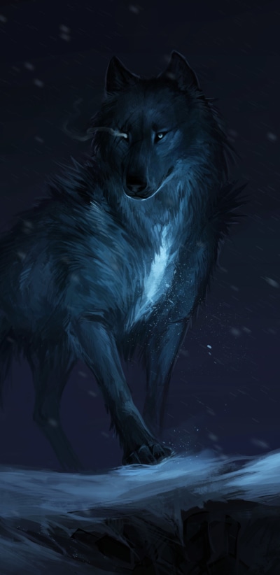 Fantasy Wolf, Night, 1440x2960