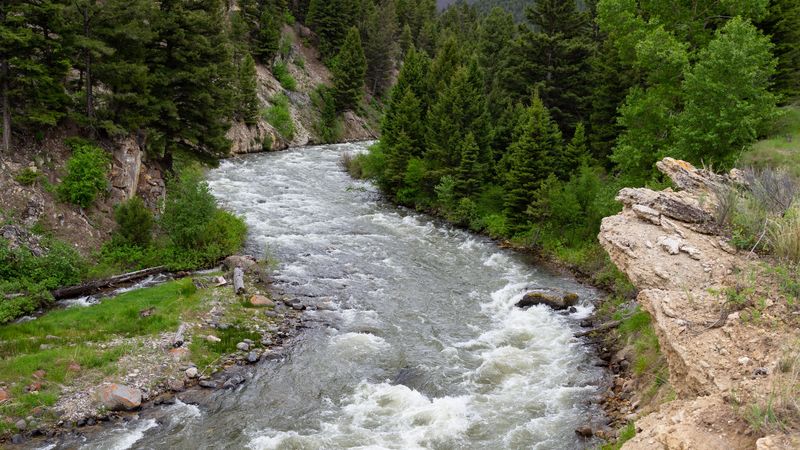 river, course, forest, hill, sky, 4k