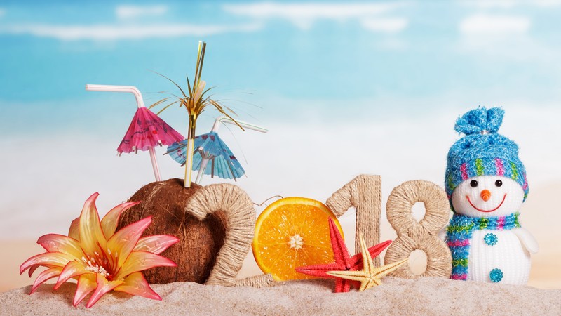 Christmas, New Year, 2018, snowman, orange, coconut, 4K
