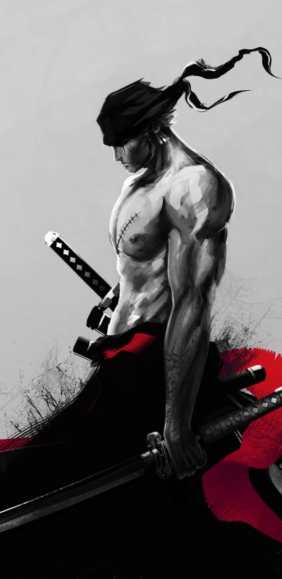 Anime One Piece, Roronoa Zoro, 1440x2960